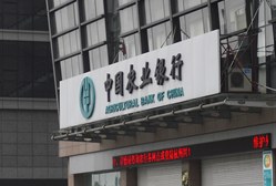中國農業銀行(金城路支行)
